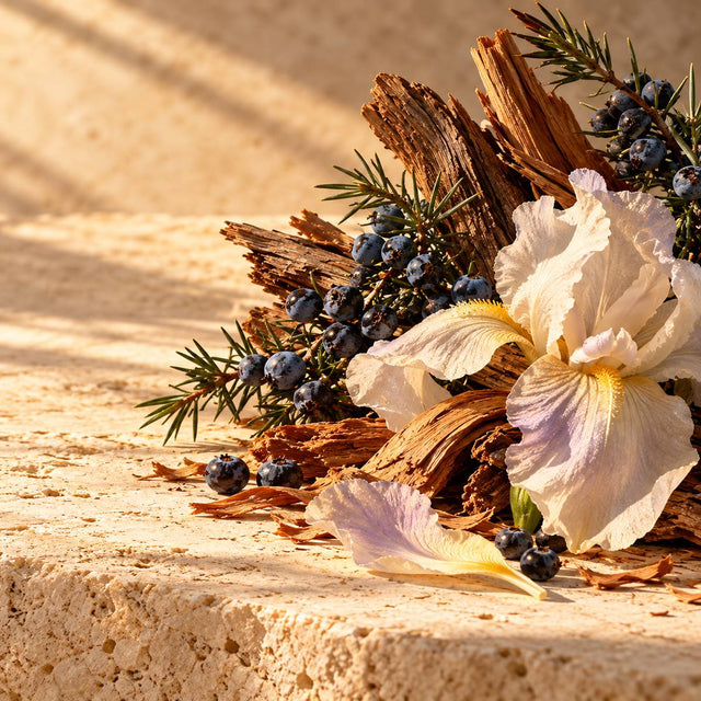 Olivier Pescheux — original RichandLuxe perfumer editorial still-life on warm ivory stone