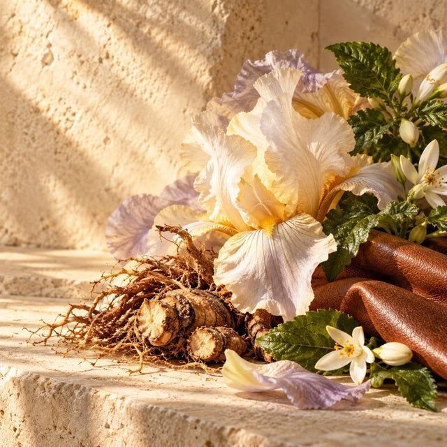 Francesca Bianchi — original RichandLuxe perfumer editorial still-life on warm ivory stone