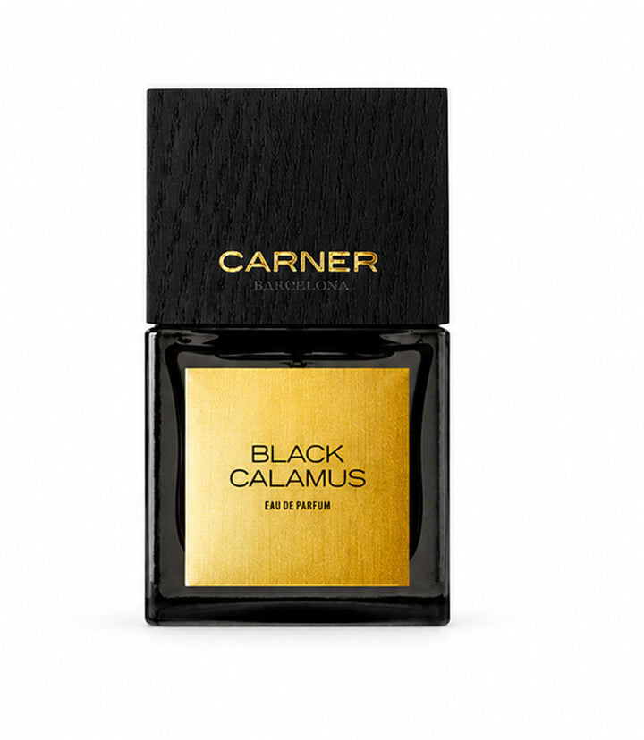 BLACK CALAMUS