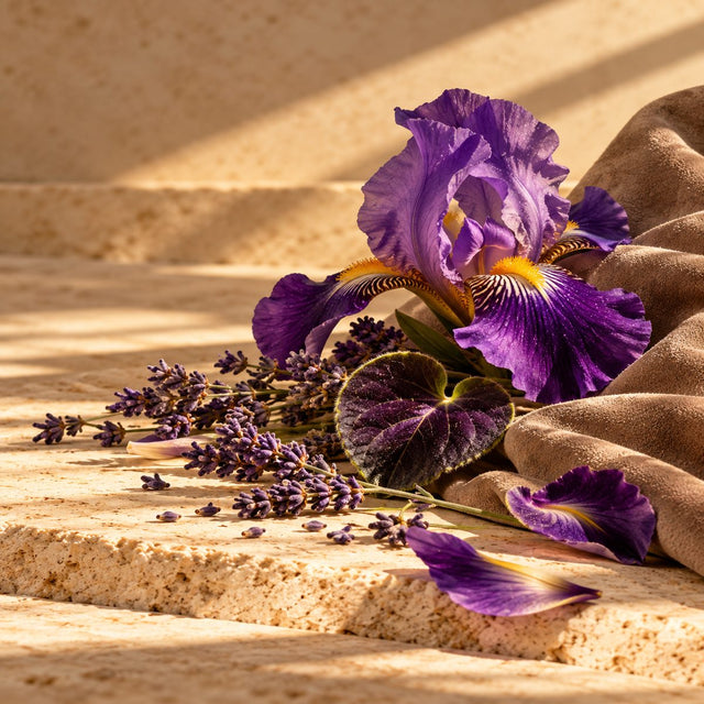 Editorial artwork for Ilias Ermenidis: a purple iris, violet leaf, lavender and suede-textured taupe fabric arranged on warm ivory limestone.