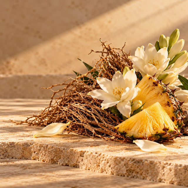 Editorial artwork for Jorge Lee: pineapple slice, vetiver and white tuberose arranged on warm ivory limestone.