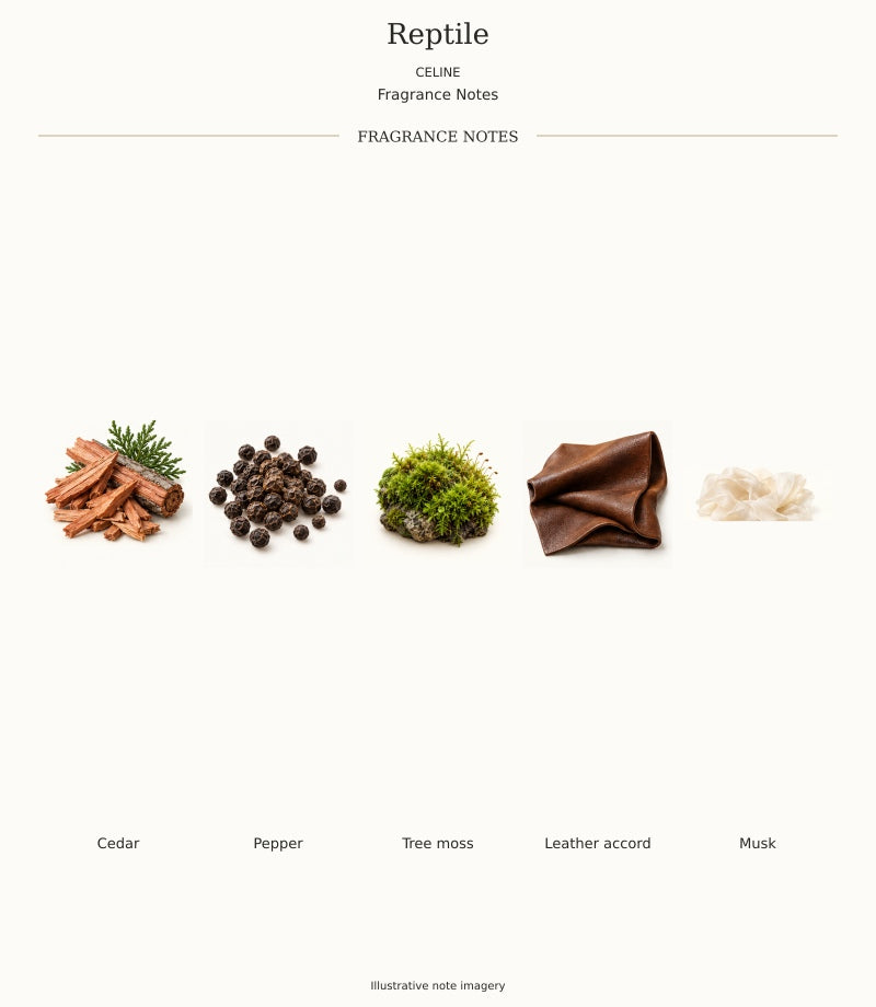 CELINE Reptile complete fragrance notes, illustrative artwork