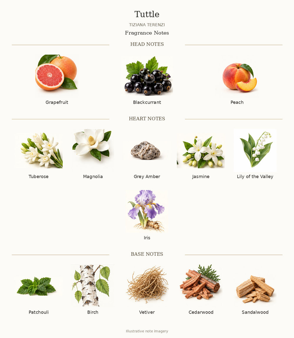 Tuttle by TIZIANA TERENZI fragrance notes: Grapefruit, Blackcurrant, Peach, Tuberose, Magnolia, Grey Amber, Jasmine, Lily of the Valley, Iris, Patchouli, Birch, Vetiver, Cedarwood, Sandalwood