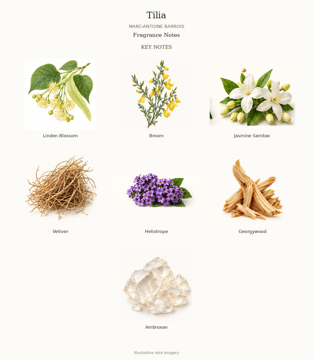 Tilia by MARC-ANTOINE BARROIS — complete fragrance notes