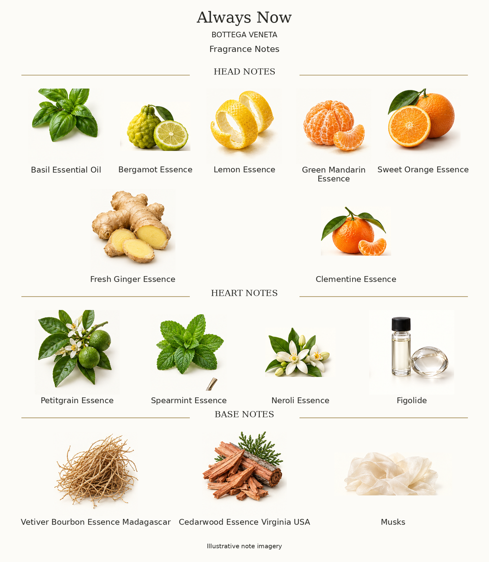 ALWAYS NOW by BOTTEGA VENETA complete disclosed fragrance notes chart with illustrative ingredient imagery