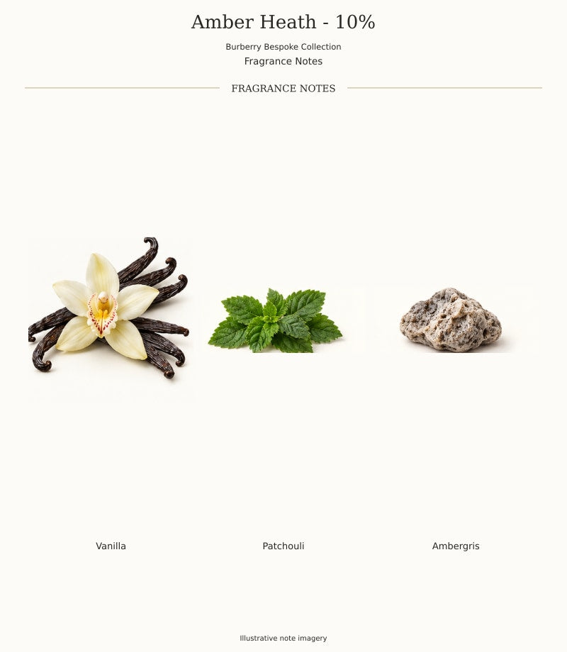 AMBER HEATH - 10% — complete fragrance notes, illustrative artwork