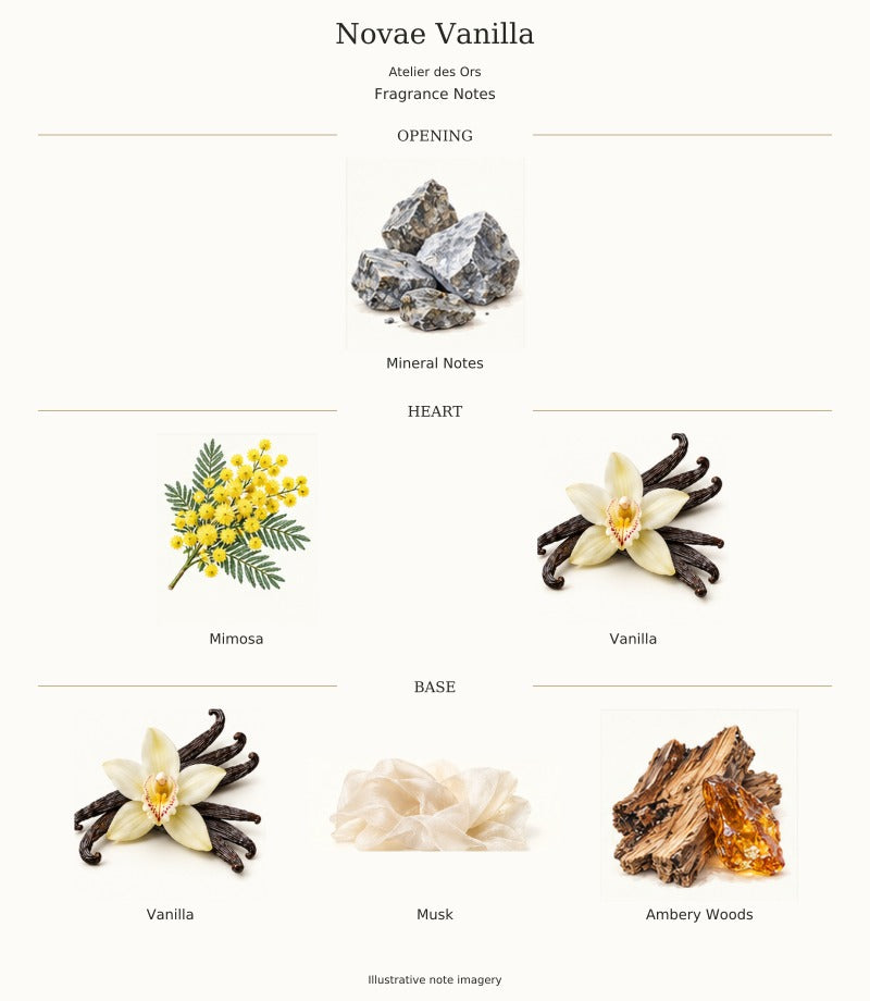 Novae Vanilla by Atelier des Ors — complete fragrance notes, illustrative artwork