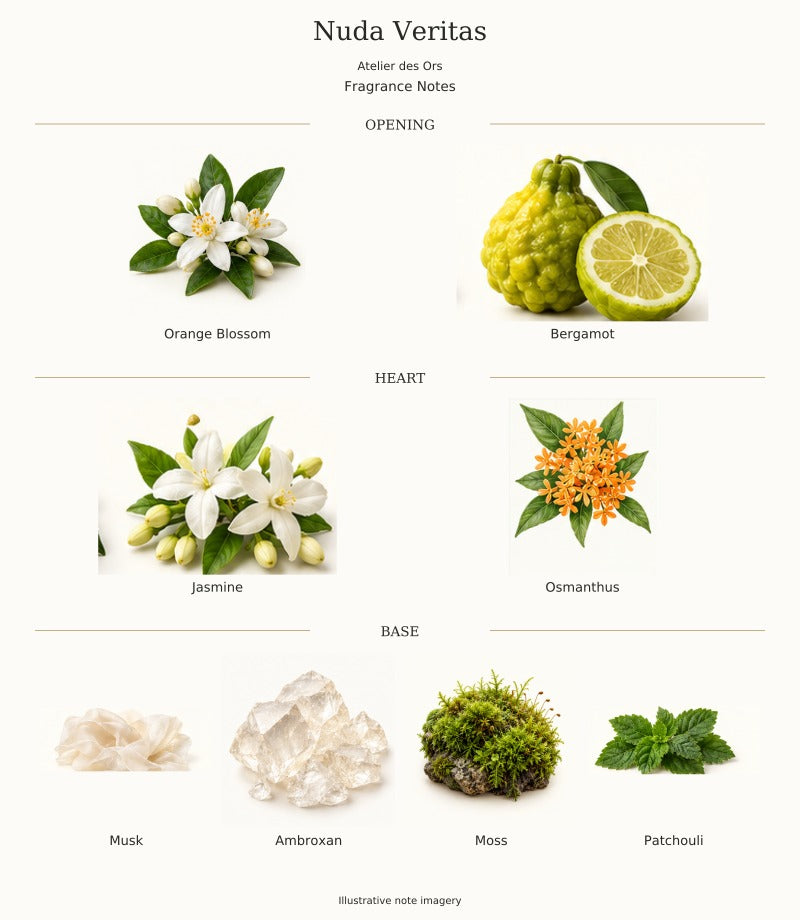 Nuda Veritas by Atelier des Ors — complete fragrance notes, illustrative artwork