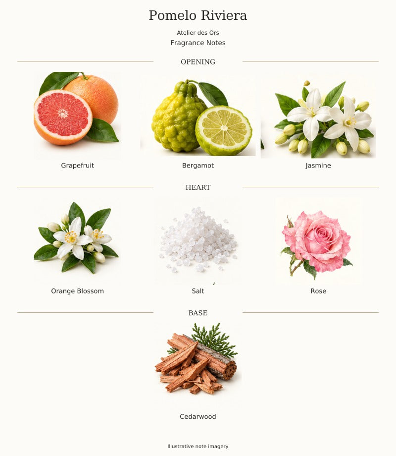 Pomelo Riviera by Atelier des Ors — complete fragrance notes, illustrative artwork
