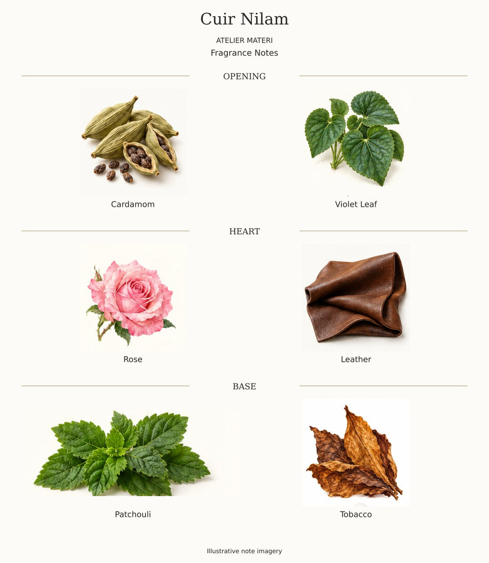 All opening, heart and base notes for cuir nilam by Atelier Materi, with illustrative ingredient imagery