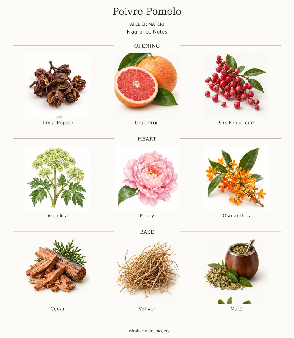 All opening, heart and base notes for Poivre Pomelo by Atelier Materi, with illustrative ingredient imagery