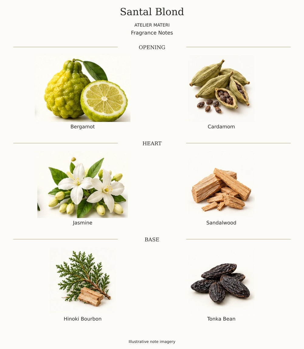 All opening, heart and base notes for santal blond by Atelier Materi, with illustrative ingredient imagery