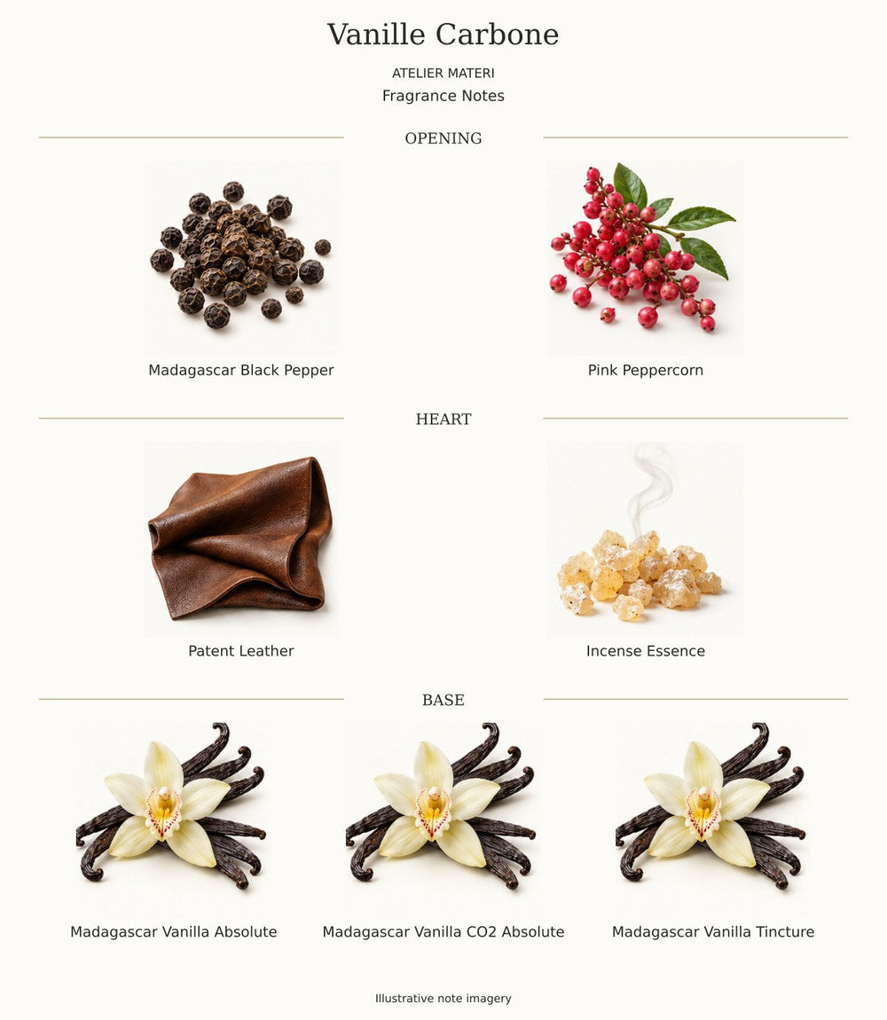 All opening, heart and base notes for Vanille Carbone by Atelier Materi, with illustrative ingredient imagery