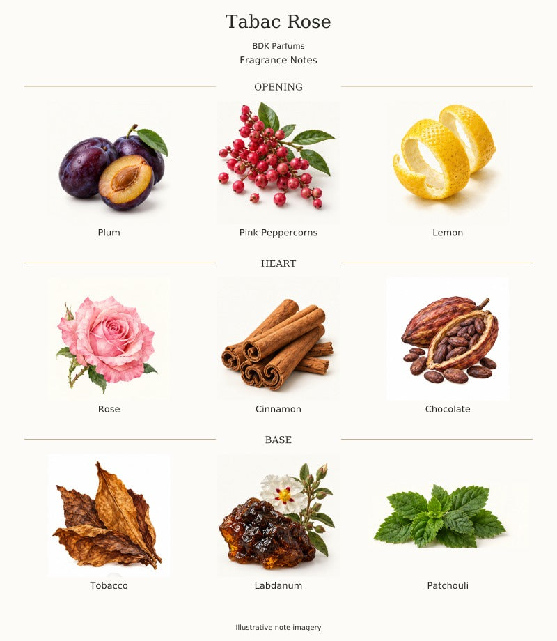 TABAC ROSE by BDK PARFUMS — complete fragrance notes, illustrative artwork
