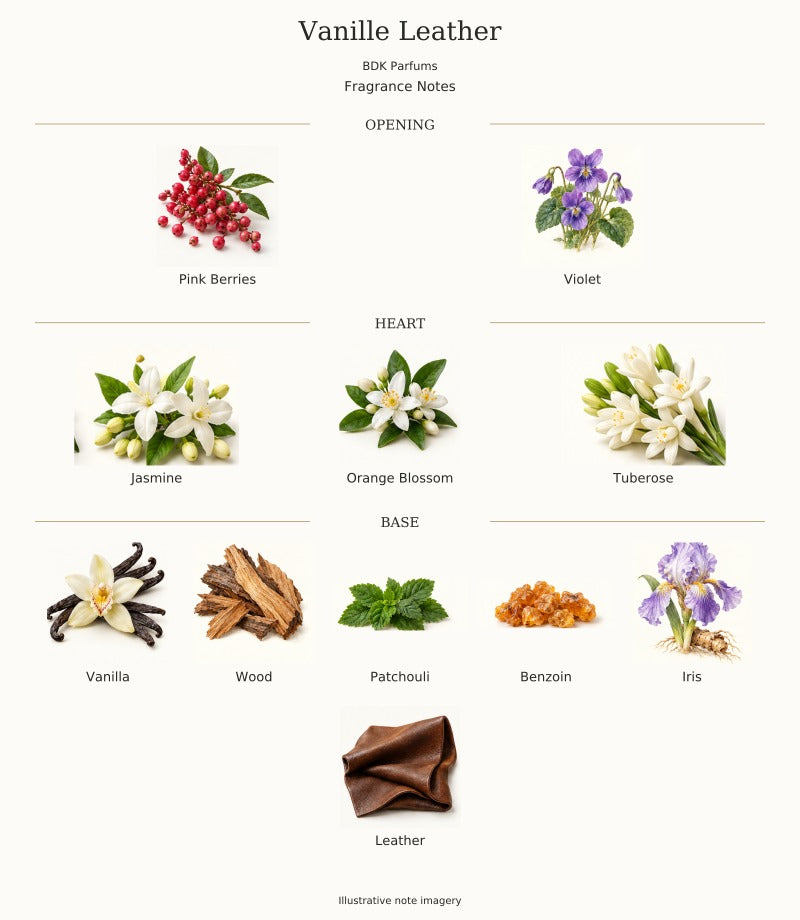 VANILLE LEATHER by BDK PARFUMS — complete fragrance notes, illustrative artwork