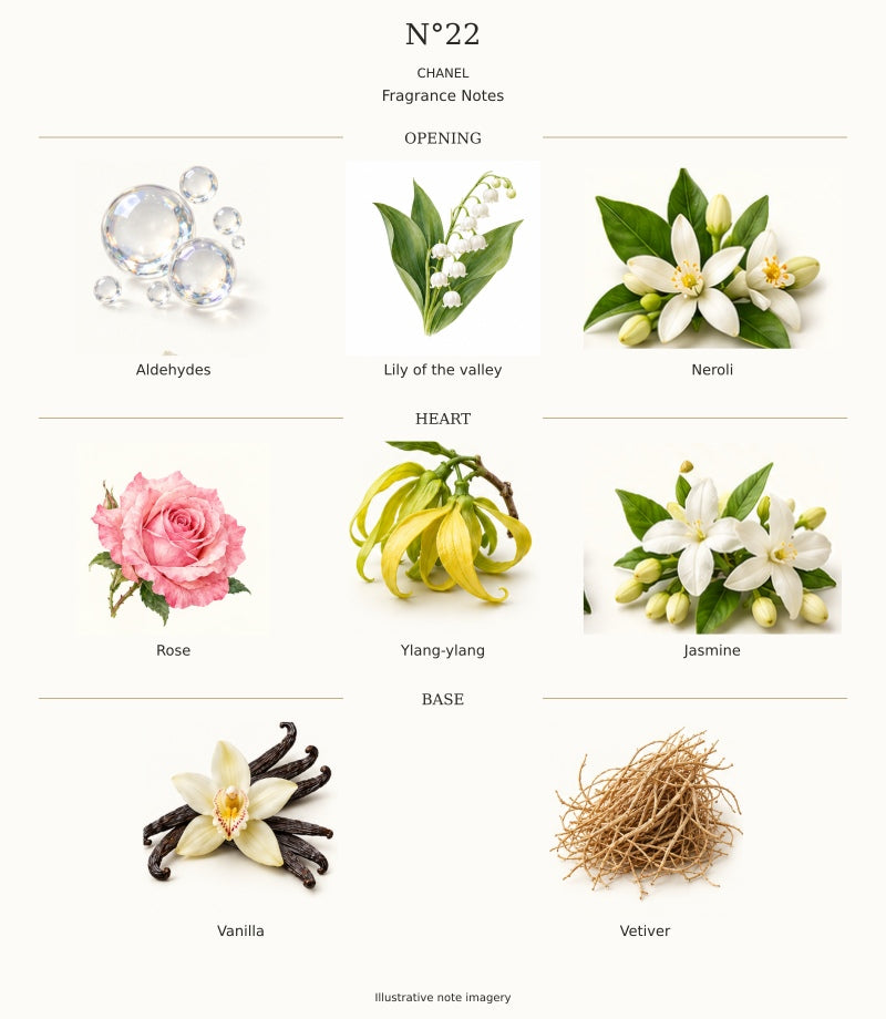 N°22 by CHANEL | Fragrance Decants | RichandLuxe – Rich and Luxe