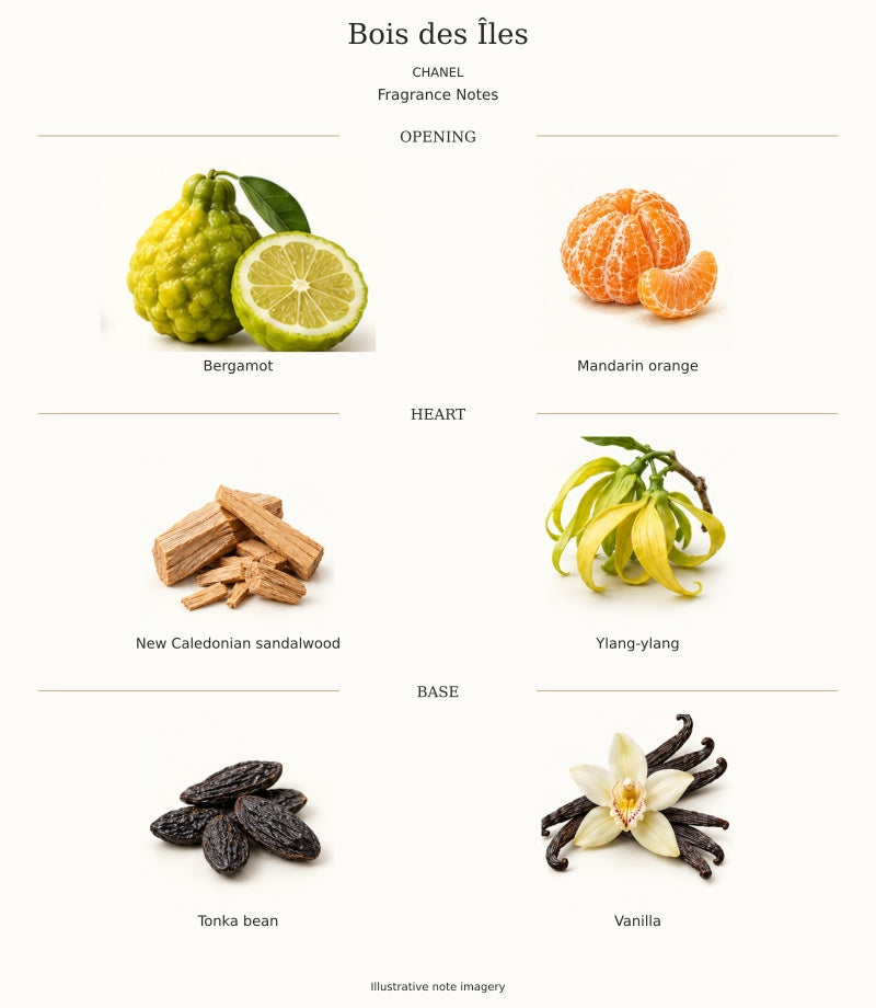 CHANEL Bois des Îles complete fragrance notes chart, 6 individual notes