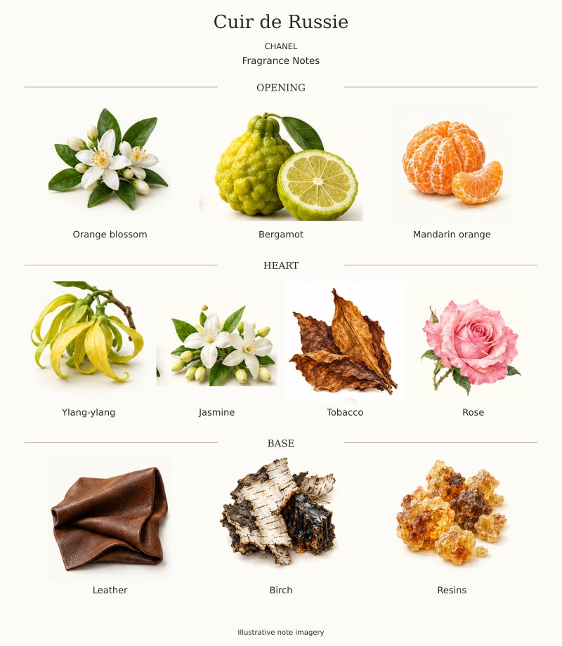 CHANEL Cuir de Russie complete fragrance notes chart, 10 individual notes