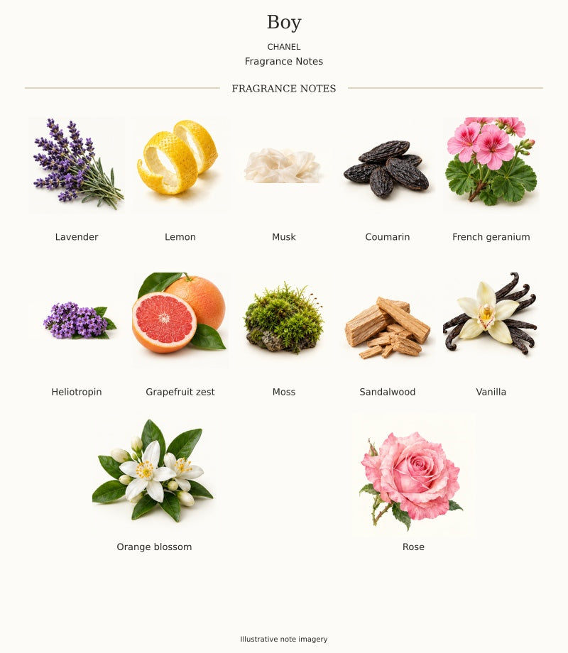 CHANEL Boy complete fragrance notes chart, 12 individual notes