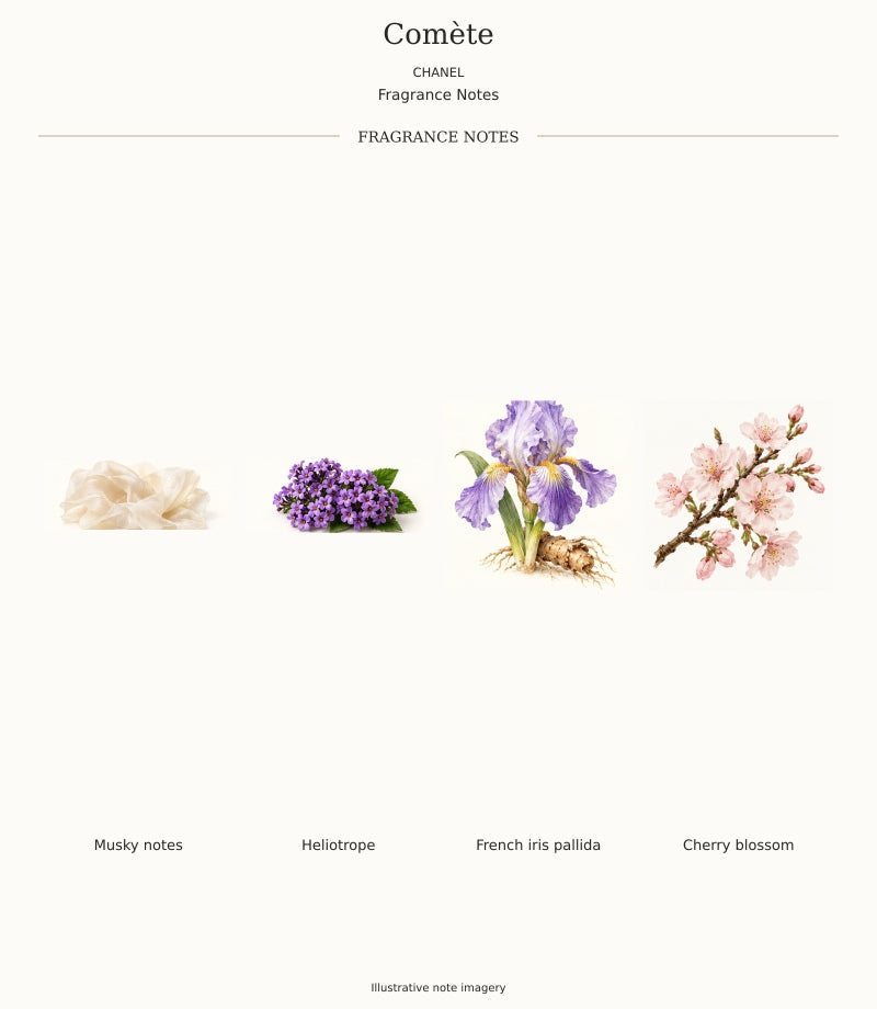 CHANEL Comète complete fragrance notes chart, 4 individual notes