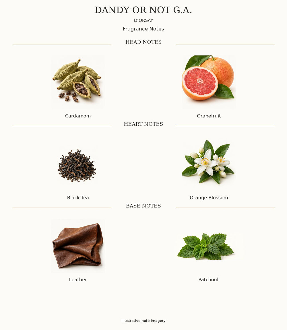 DANDY OR NOT G.A. by D’ORSAY — complete illustrated fragrance notes