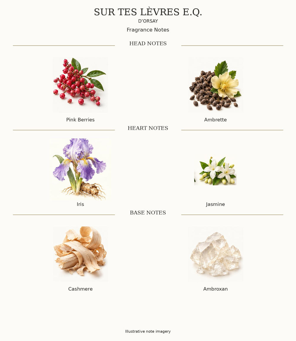 SUR TES LÈVRES E.Q. by D’ORSAY — complete illustrated fragrance notes