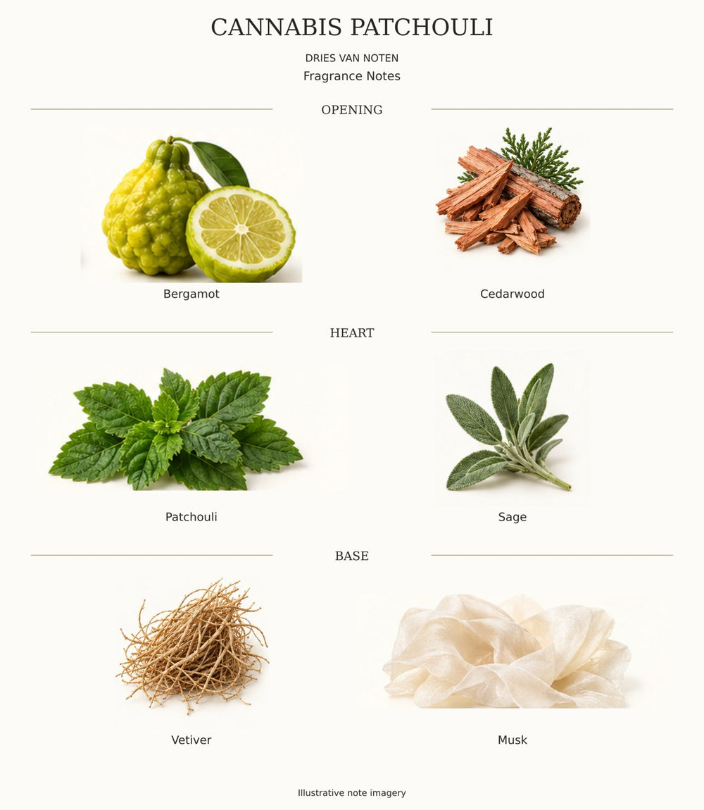 CANNABIS PATCHOULI complete fragrance notes chart