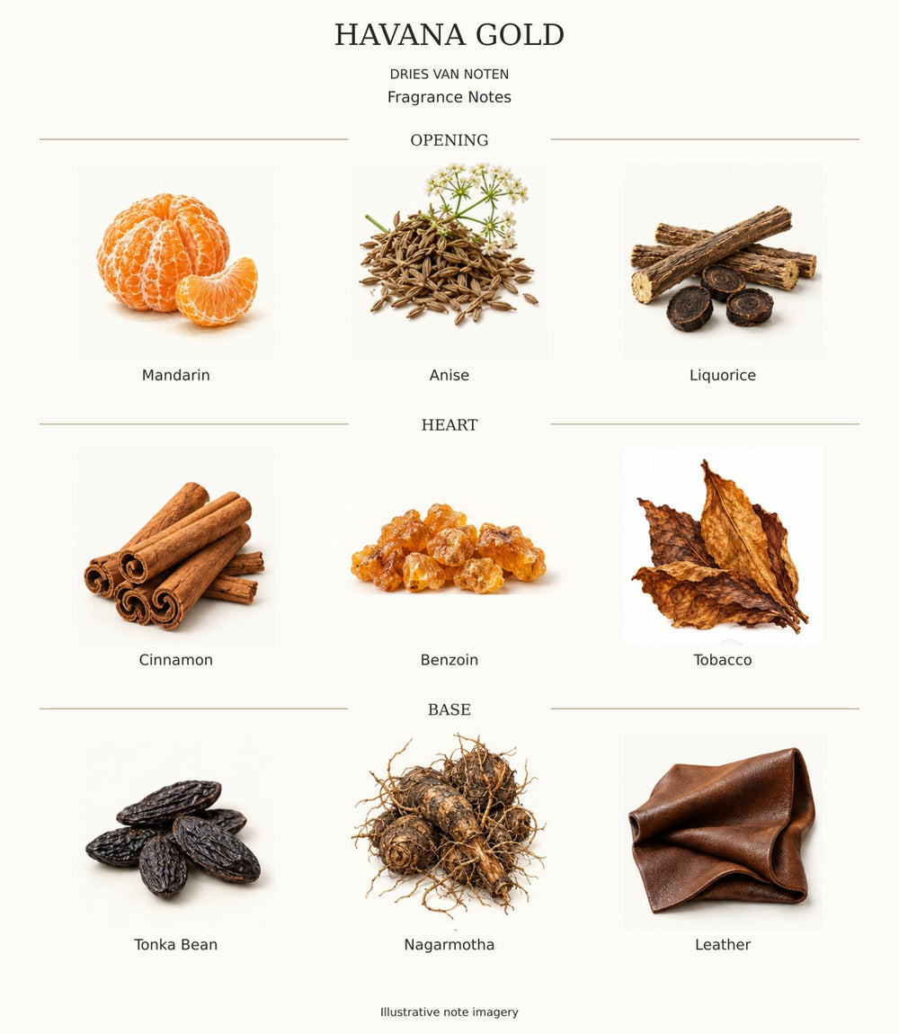 HAVANA GOLD complete fragrance notes chart