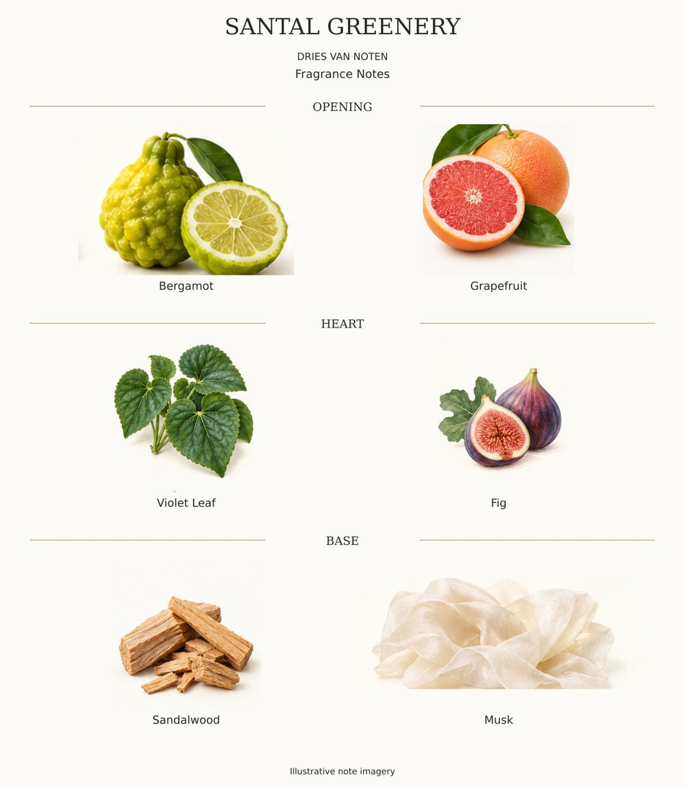 SANTAL GREENERY complete fragrance notes chart