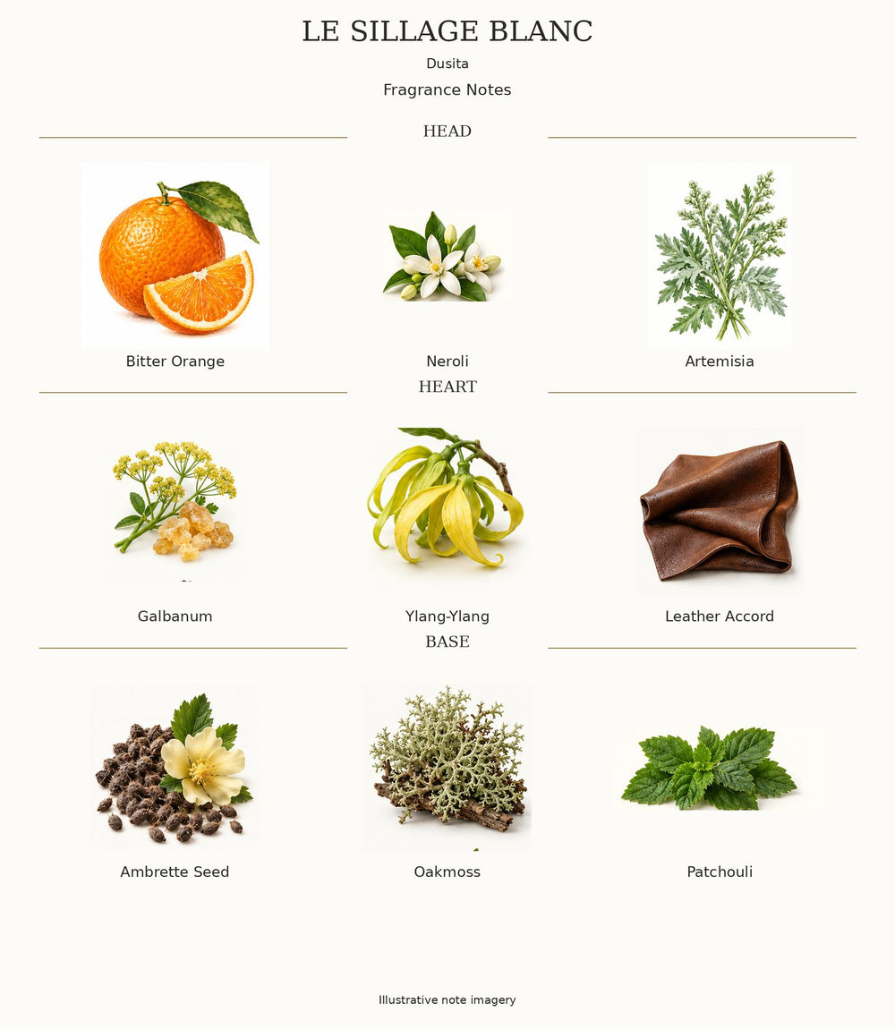 LE SILLAGE BLANC complete illustrated fragrance notes