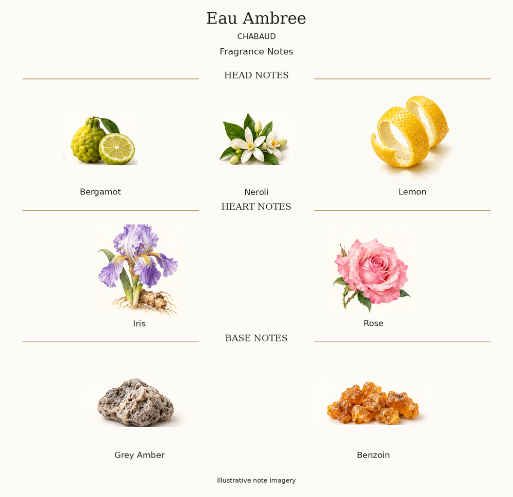 EAU AMBREE by CHABAUD complete disclosed fragrance notes chart with illustrative ingredient imagery