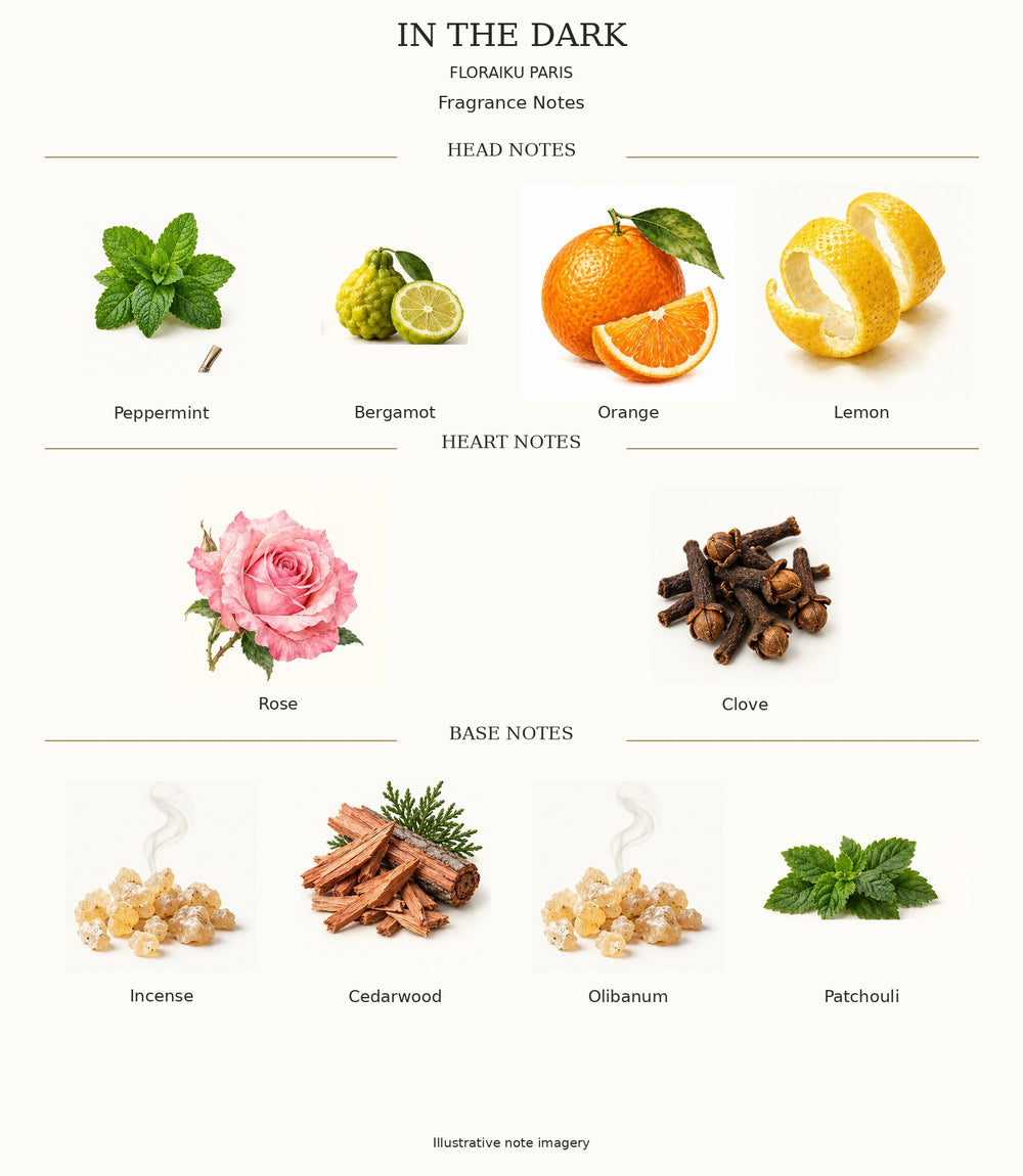 IN THE DARK by Floraïku Paris — complete head, heart and base notes with ingredient illustrations