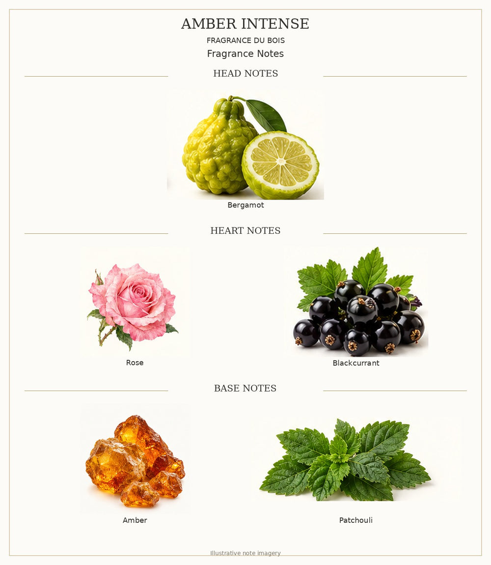 AMBER INTENSE — complete individually labelled head, heart and base fragrance notes
