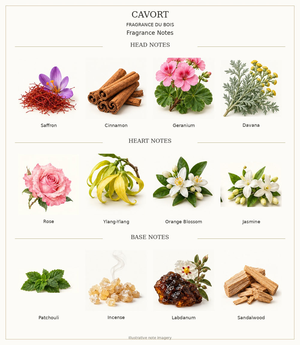 CAVORT — complete individually labelled head, heart and base fragrance notes