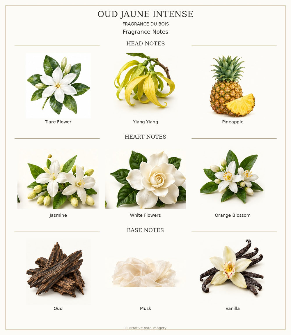 OUD JAUNE INTENSE — complete individually labelled head, heart and base fragrance notes