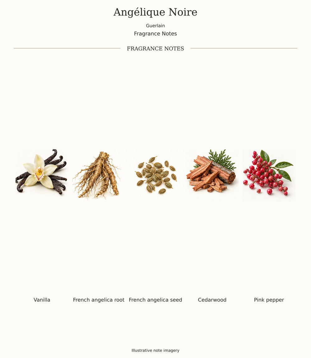 Angélique Noire by Guerlain — complete fragrance notes; illustrative ingredient imagery