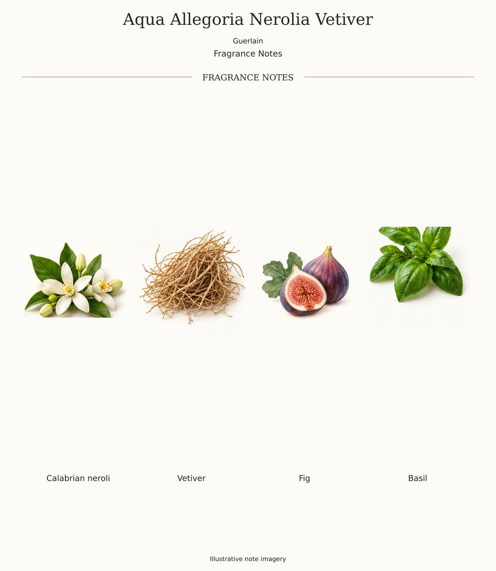 Aqua Allegoria Nerolia Vetiver by Guerlain — complete fragrance notes; illustrative ingredient imagery
