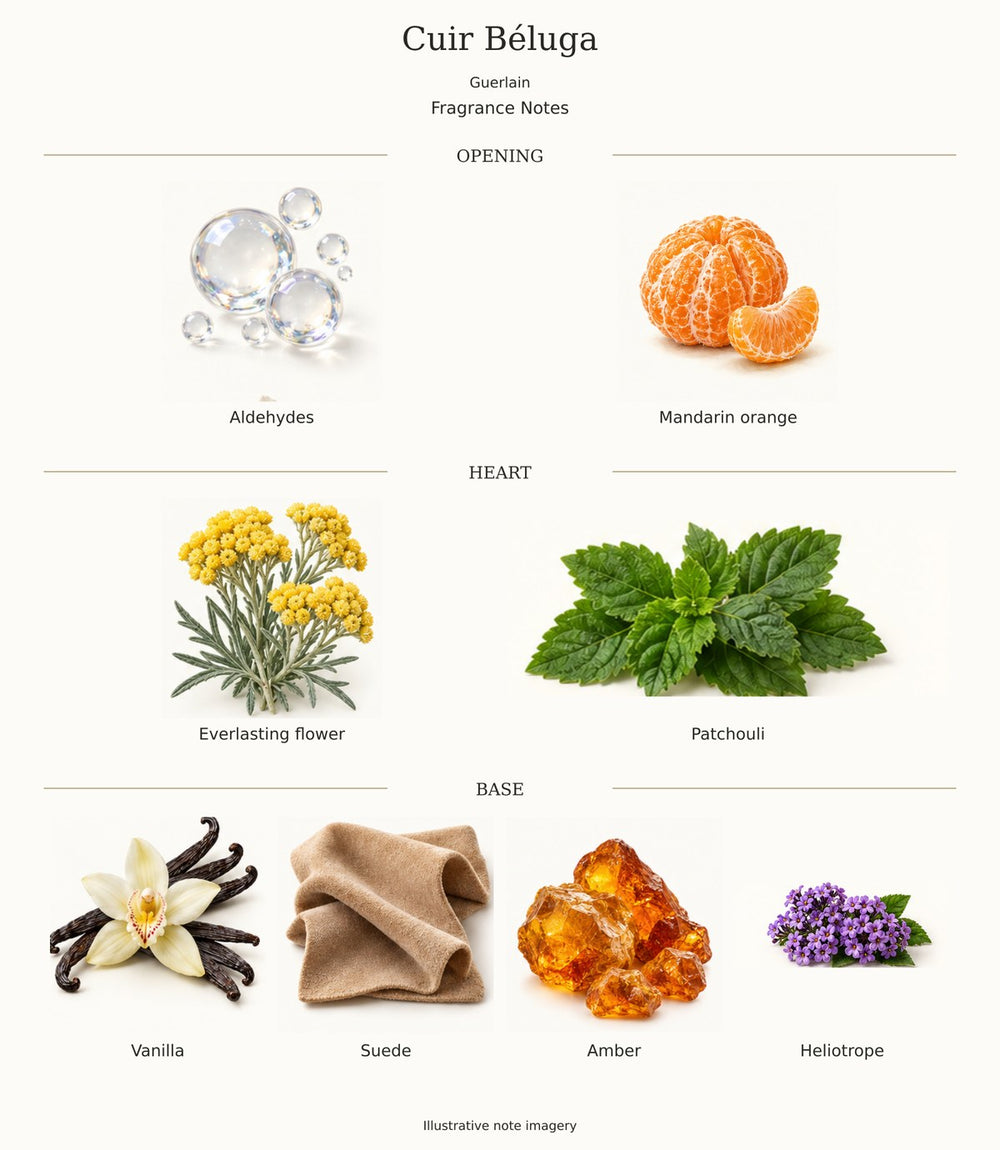 Cuir Béluga by Guerlain — complete fragrance notes; illustrative ingredient imagery