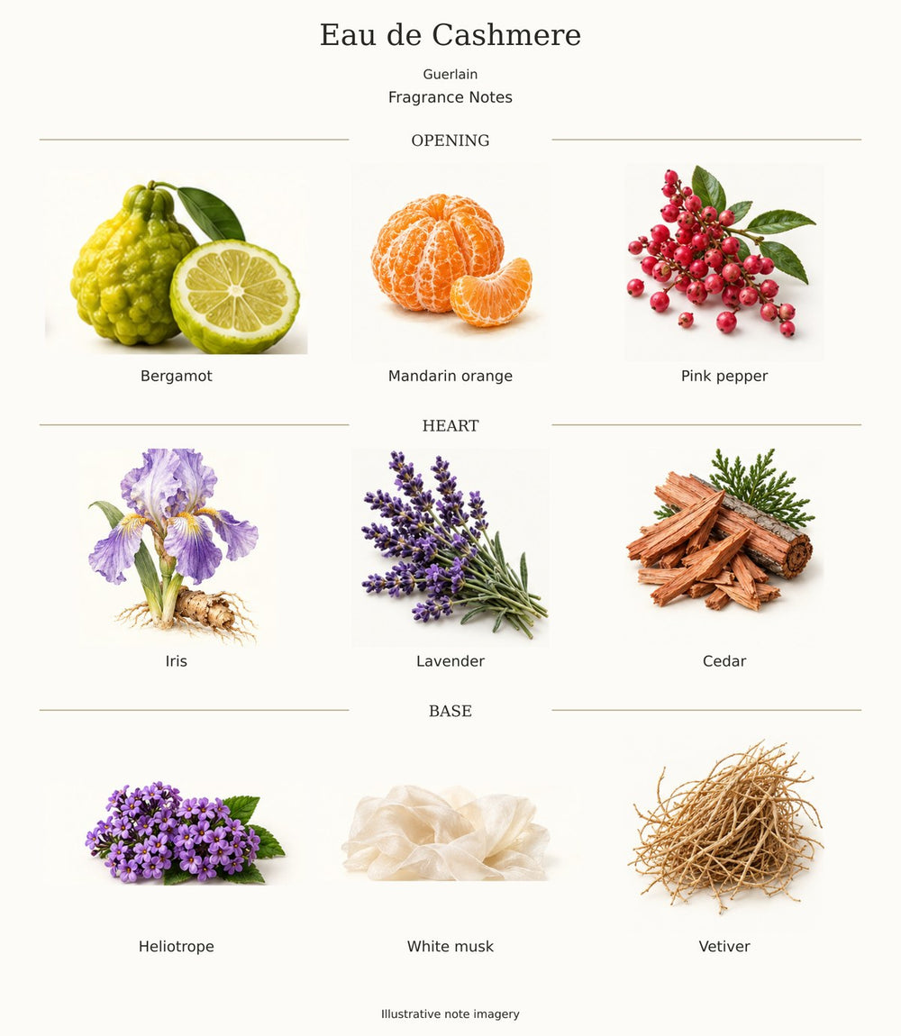 Eau de Cashmere by Guerlain — complete fragrance notes; illustrative ingredient imagery