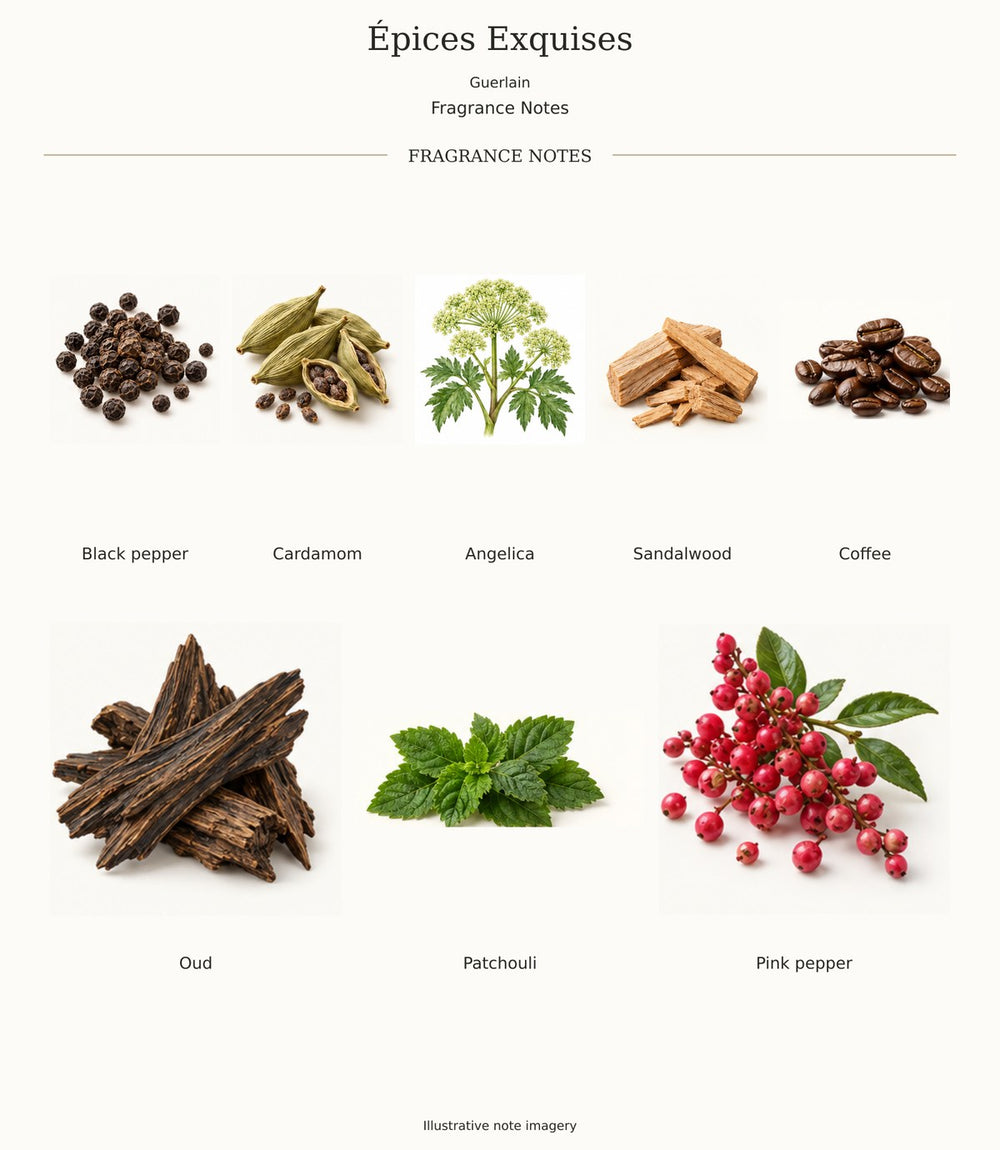 Épices Exquises by Guerlain — complete fragrance notes; illustrative ingredient imagery