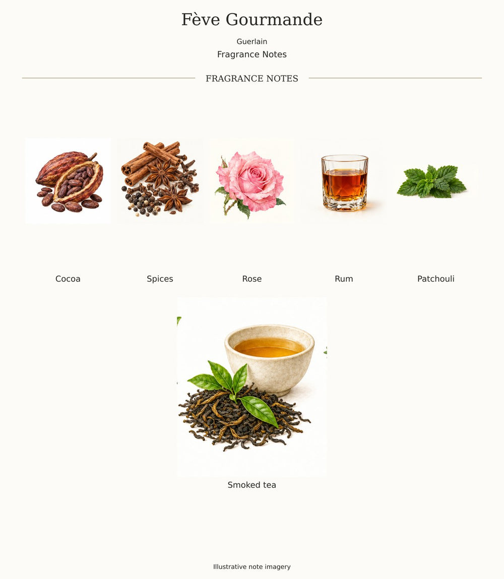 Fève Gourmande by Guerlain — complete fragrance notes; illustrative ingredient imagery