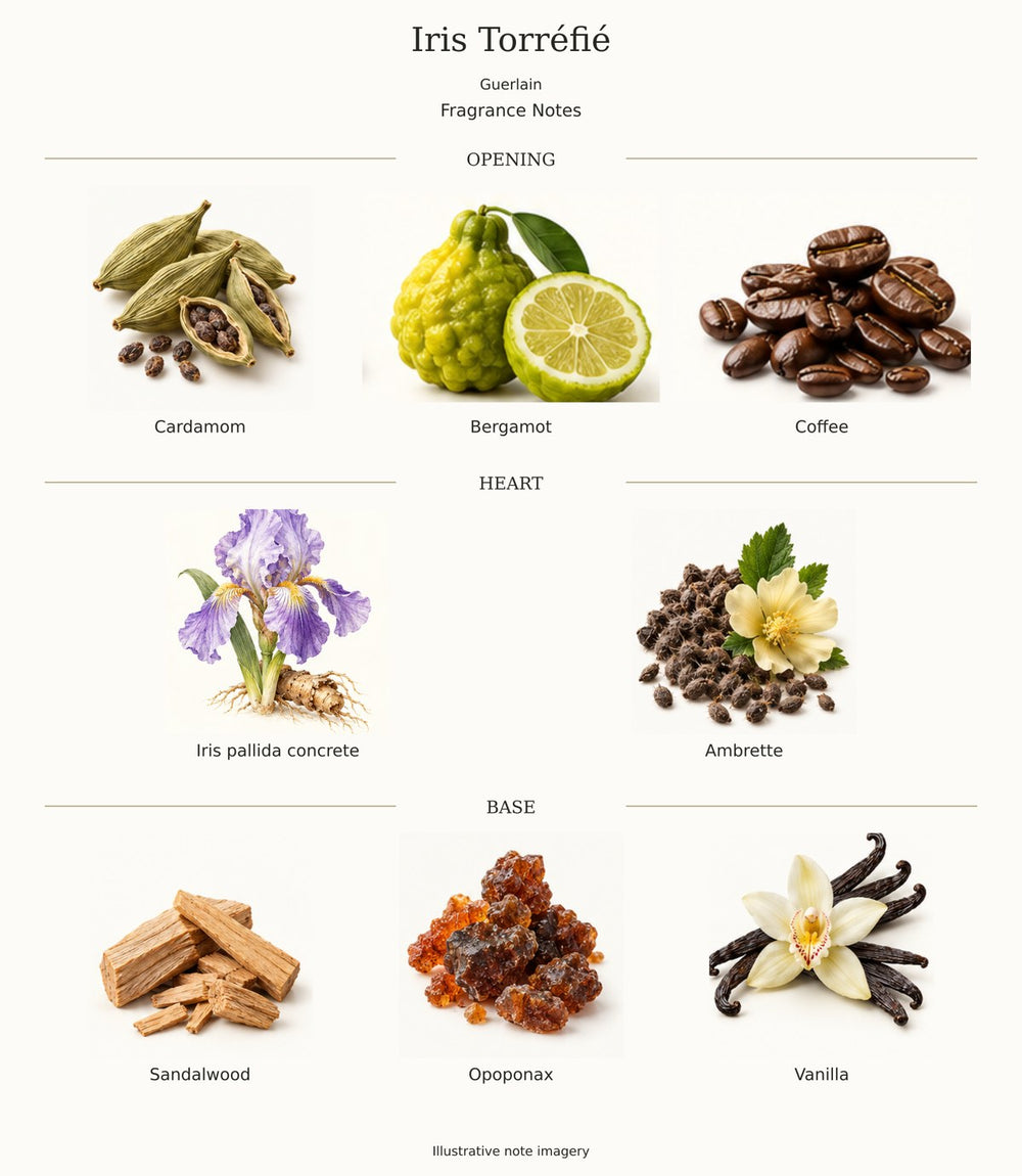 Iris Torréfié by Guerlain — complete fragrance notes; illustrative ingredient imagery