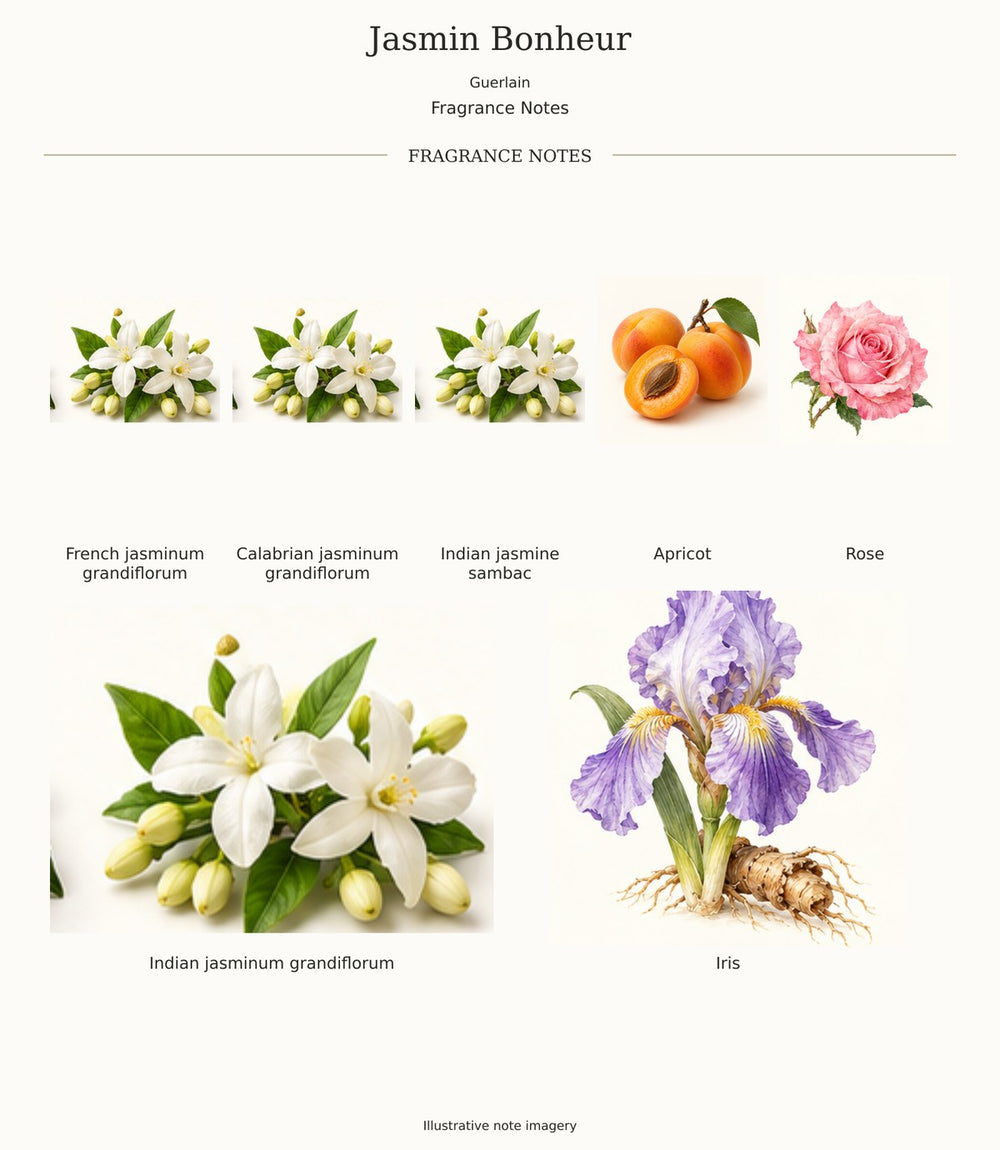 Jasmin Bonheur by Guerlain — complete fragrance notes; illustrative ingredient imagery