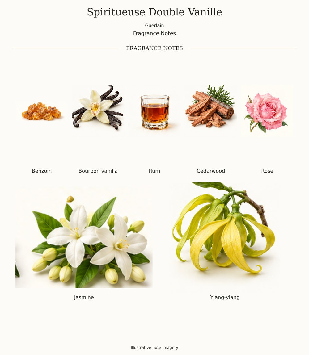 Spiritueuse Double Vanille by Guerlain — complete fragrance notes; illustrative ingredient imagery