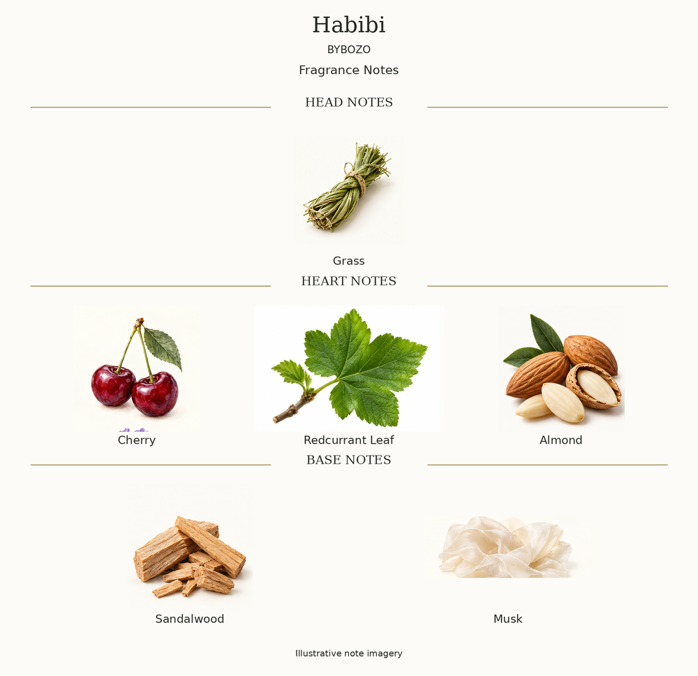 HABIBI by BYBOZO complete disclosed fragrance notes chart with illustrative ingredient imagery