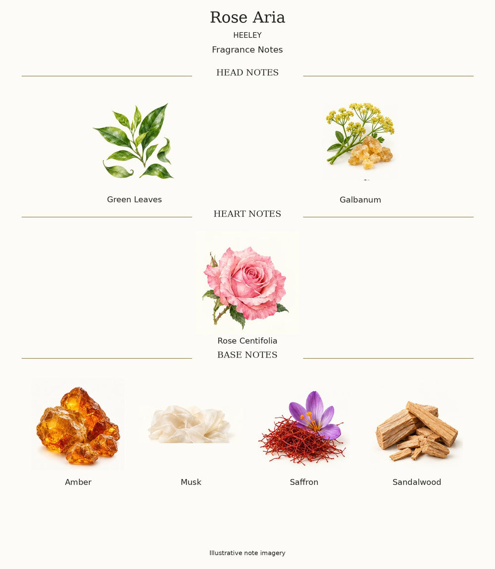 Complete official fragrance notes of Rose Aria by Heeley; illustrative note imagery