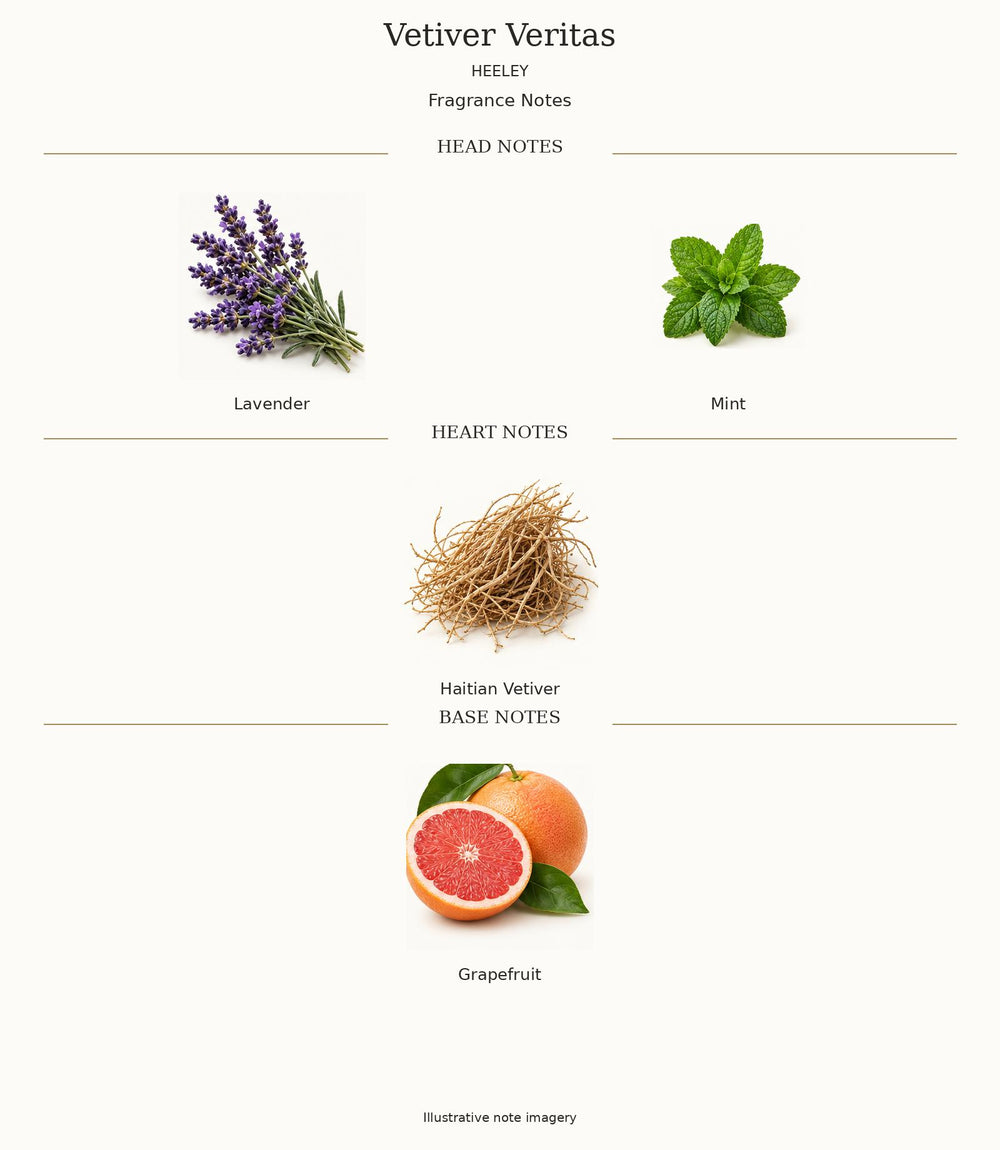 Complete official fragrance notes of Vetiver Veritas by Heeley; illustrative note imagery