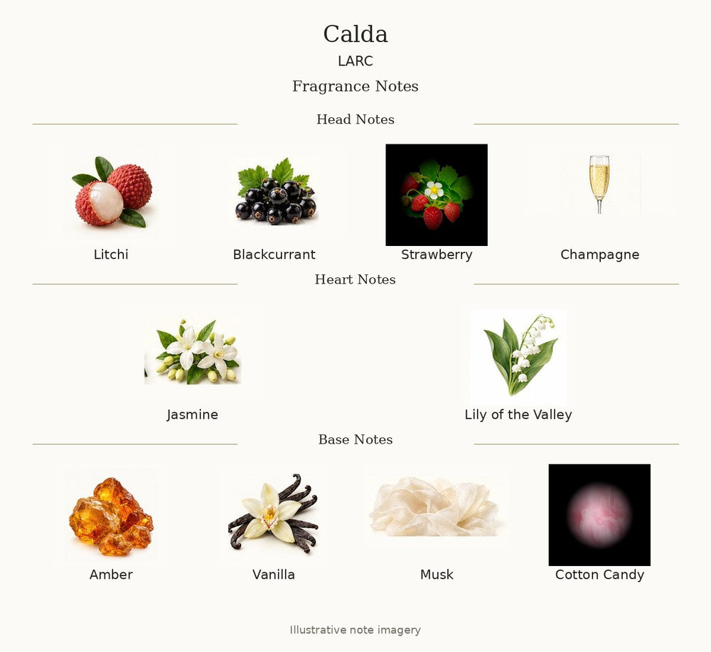 CALDA — complete illustrated fragrance notes: Head Notes: Litchi, Blackcurrant, Strawberry, Champagne; Heart Notes: Jasmine, Lily of the Valley; Base Notes: Amber, Vanilla, Musk, Cotton Candy