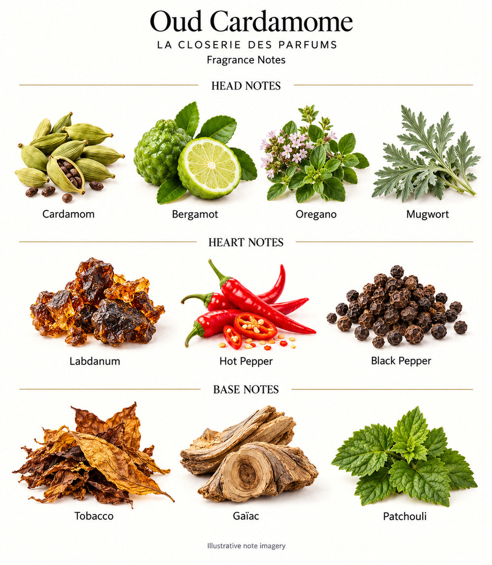 oud cardamome by La Closerie des Parfums — complete fragrance notes