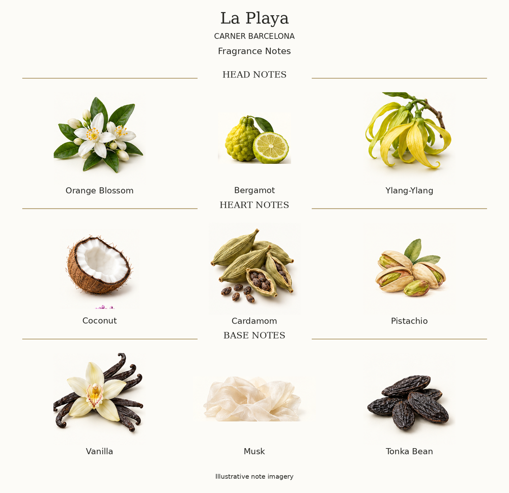 LA PLAYA by CARNER BARCELONA complete disclosed fragrance notes chart with illustrative ingredient imagery